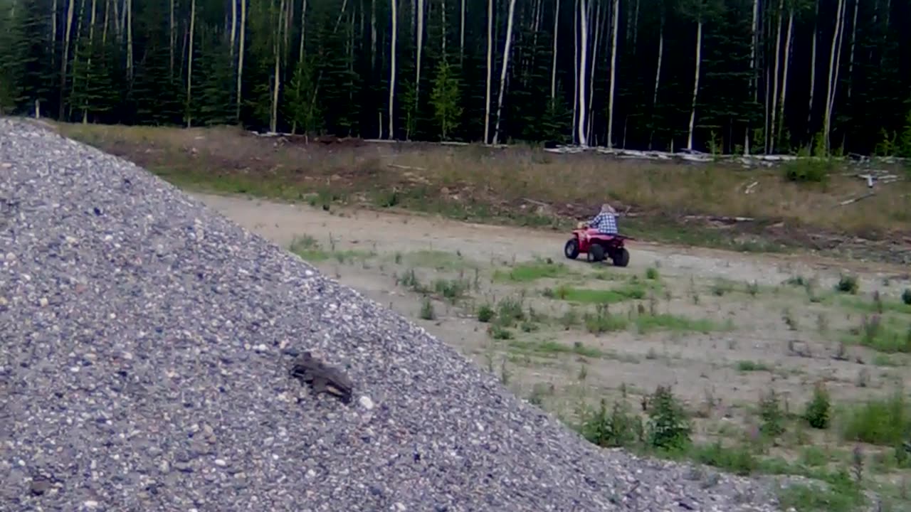 fun on the wheeler, round 2