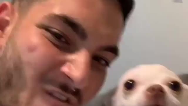 See This Dog Reaction Very Angry Dog