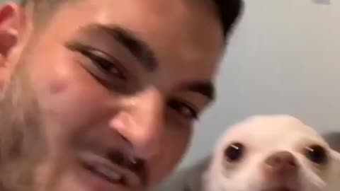 See This Dog Reaction Very Angry Dog