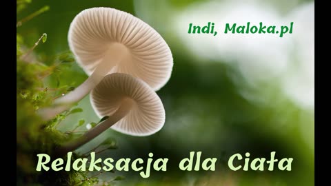 RELAKSACJA z INDI - Relaksacja dla Ciała