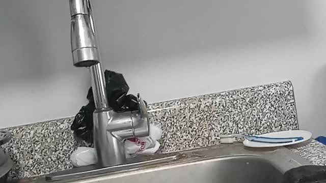 The moderate mandate