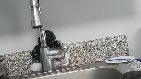 The moderate mandate