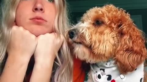 Tiktok Cute Dogs