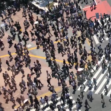Shibuya Crossing - Timelapse