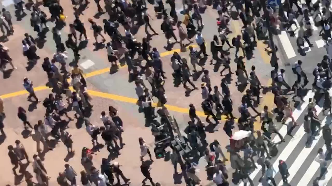 Shibuya Crossing - Timelapse