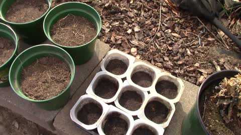 POT Garden prep May1