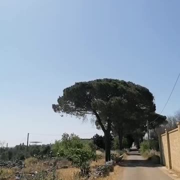 Il cielo del Salento quando quei PILOTI CRIMINALI non irrorano "insetticida"