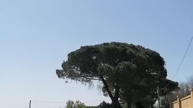 Il cielo del Salento quando quei PILOTI CRIMINALI non irrorano "insetticida"