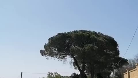 Il cielo del Salento quando quei PILOTI CRIMINALI non irrorano "insetticida"