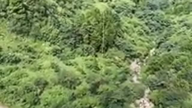 Chung Hing - China - Funny shows