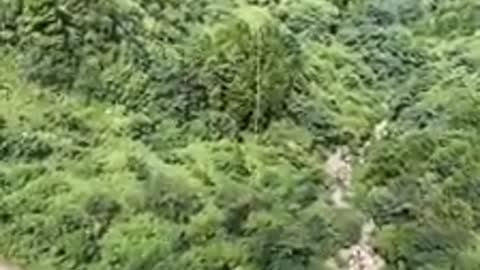 Chung Hing - China - Funny shows