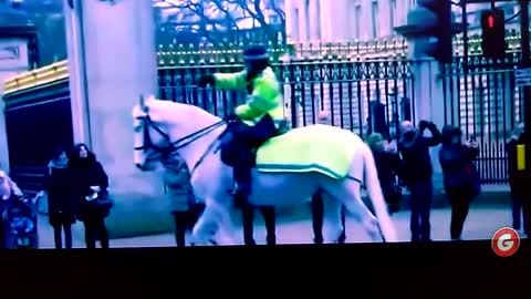 CHILD ESCAPING FROM BUCKINGHAM PALACE