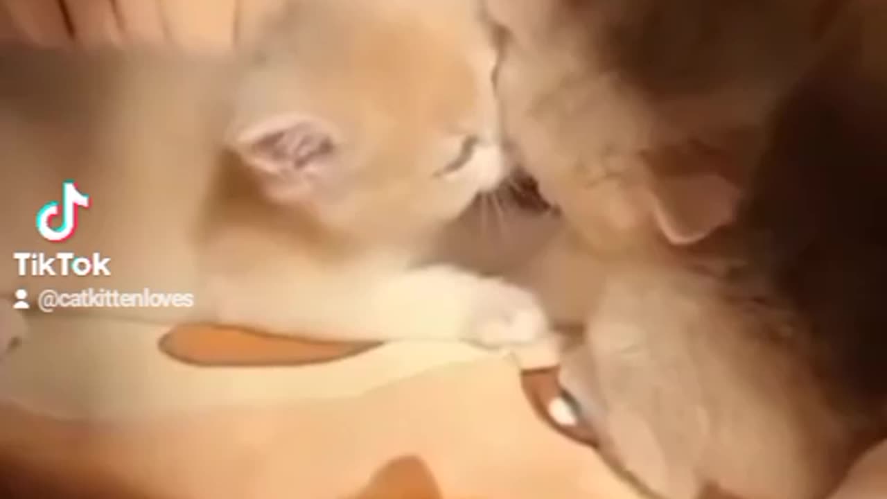 Are you like that!