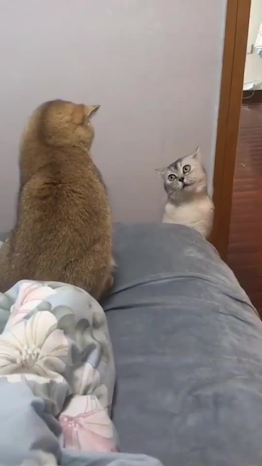 They quarreled again, and it seems that the problem is more serious this time