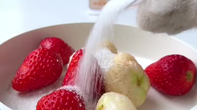 Have You Ever Eaten Strawberries Like This? | Cat Cooking Food | Cute Cat