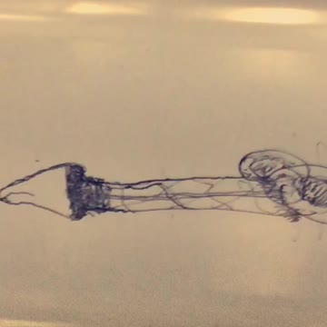 Penis drawing on a subway seat