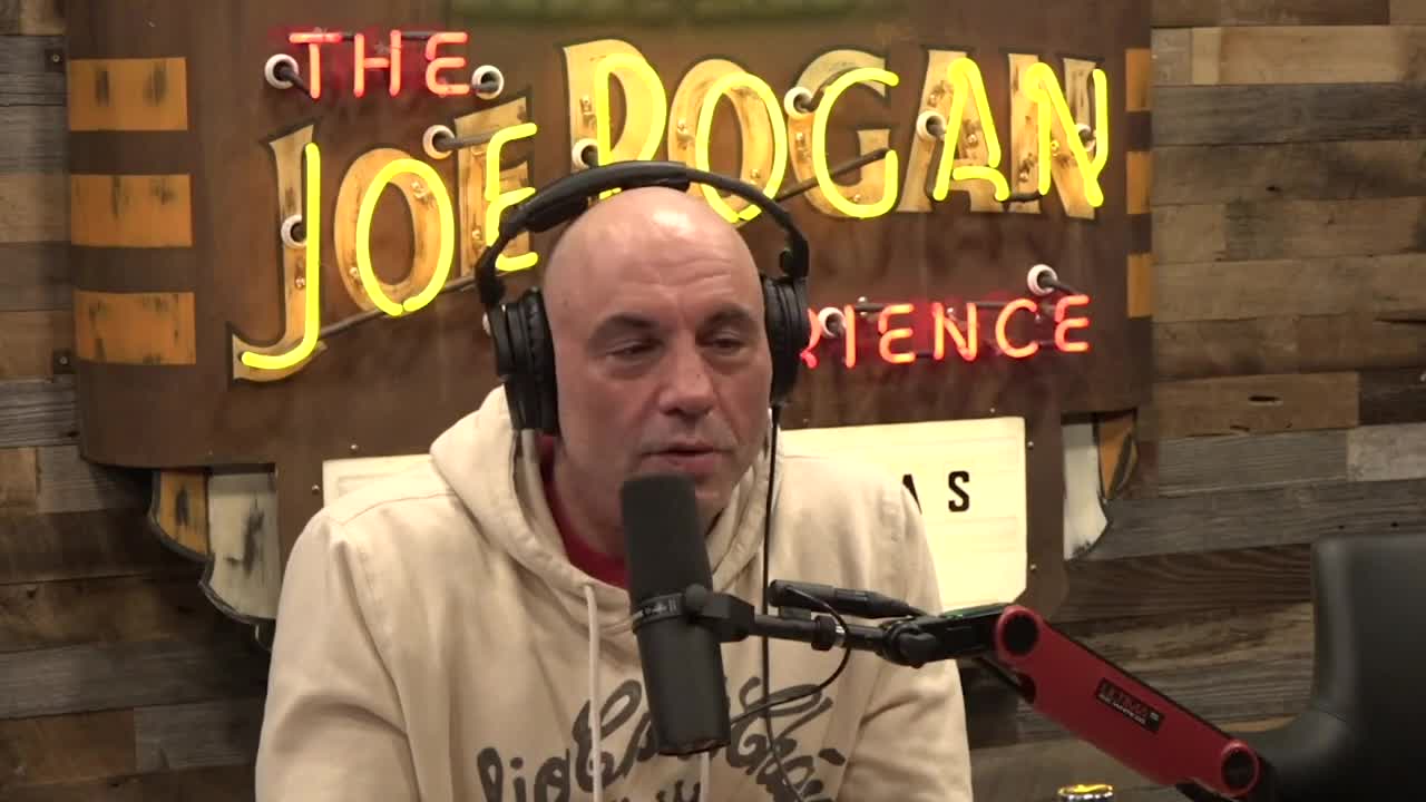 Akaash Singh's Defense of Apu - Joe Rogan Experience