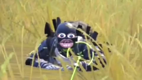 Pubg funny videos