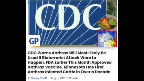 Corrupt Deceiving Criminals