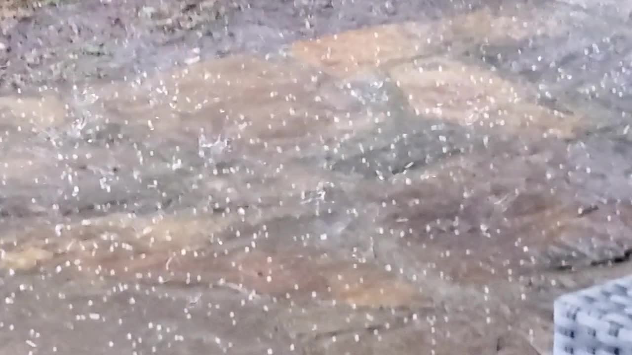 Ice Storm in Austin Texas 02-11-2021 Very Rare!