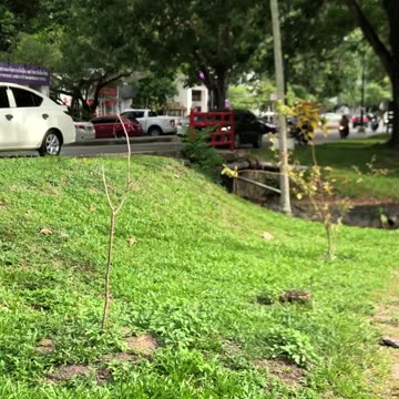 Chiangmai Thailand’s Biggest University!