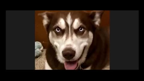 GENE DECODE TALKS ABOUT WHAT IS NEXT FOR HUMANITY W/ JOHN GALT & JANINE. CLIF HIGH JUAN O'SAVIN