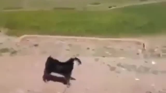 He really plays (Very funny video)