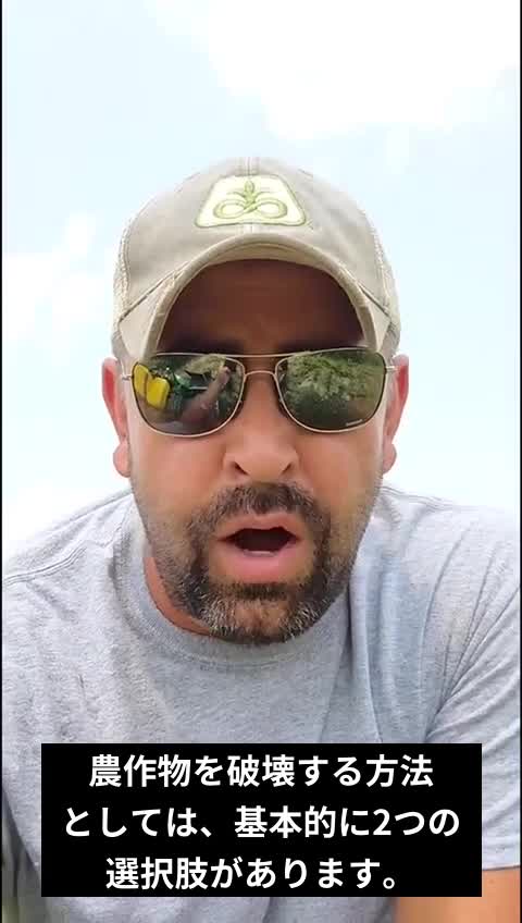 アメリカ政府が農家にお金を払って作物を壊させている