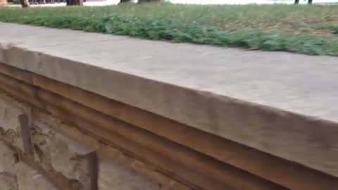 footage for tracking