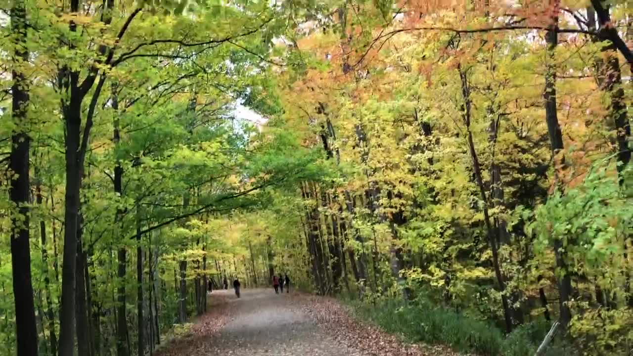 Fall Canada