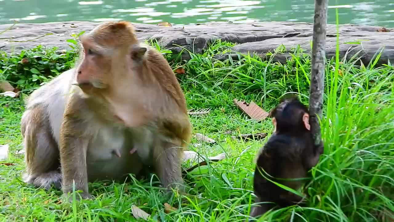 Branda is adorable and She tires to get o