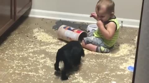 Puppies & Babies