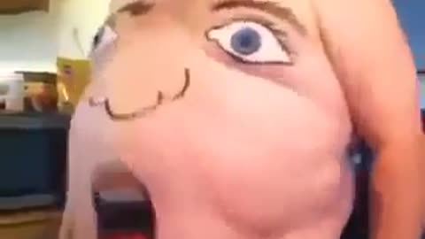 6 seconds of funny videos