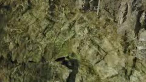 Prop Hunt different way to get eliminated