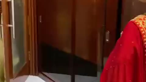 Funny video