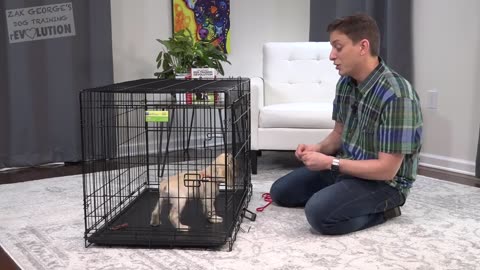 How to Crate Train a Puppy