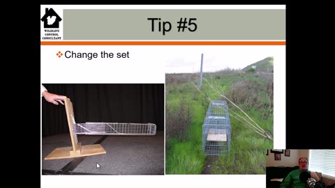 5 Tips to Catch Trap-wise and Trap-Shy Animals