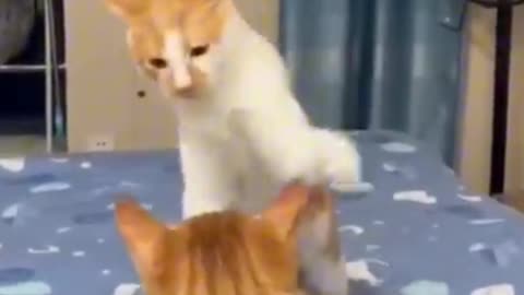 Funny moments captured in camera!!!!!!!