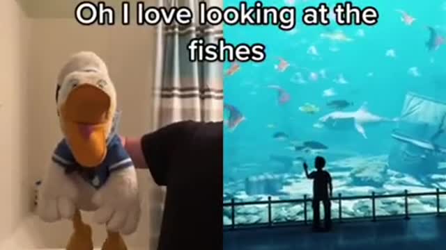 Donald Duck is shocked #shorts