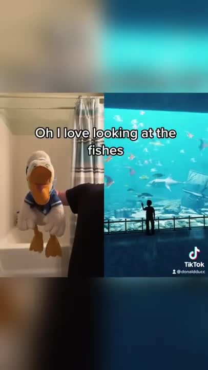 Donald Duck is shocked #shorts