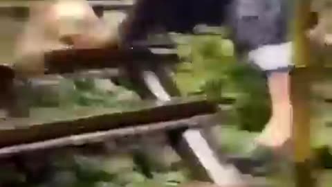 "When You Try to Look Cool But Fail Miserably 😅🤦‍♂️"