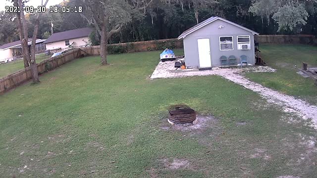 Puppy Luna and Dad play a little Chuck It