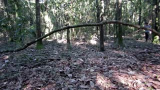 emergency bushcraft shelter