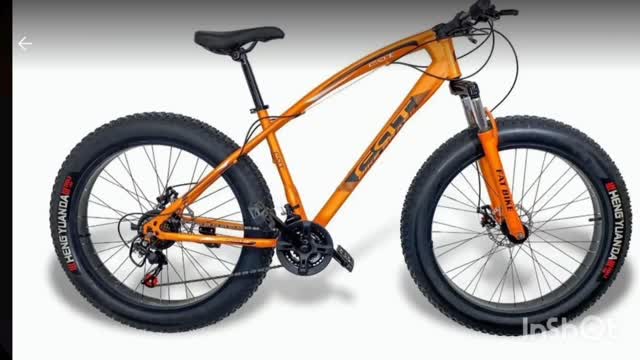 Fat bike, você compraria uma?