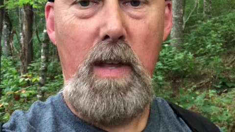 Are Bucks A No Show? Do This! #shorts #shortvideo #hunting #sports #deer