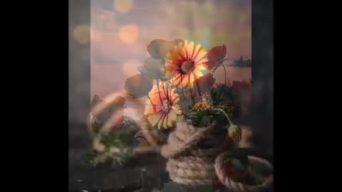 Nov 22 2023 IN MY FOOTSTEPS, LOVE ME ABOVE ALL – Sarah