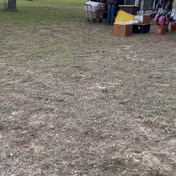 Feb 1st convoy 4 hours before opening