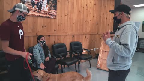 HOW TO TRANSFORM A HYPER PUPPY TO CALM LOOSE LEASH WALKING