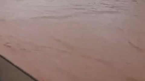 Congo summer rain..