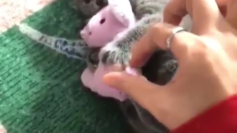Protect the little ones from the toys